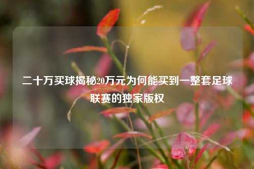 二十万买球揭秘20万元为何能买到一整套足球联赛的独家版权