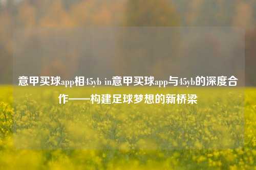 意甲买球app相45yb in意甲买球app与45yb的深度合作——构建足球梦想的新桥梁