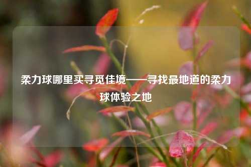 柔力球哪里买寻觅佳境——寻找最地道的柔力球体验之地