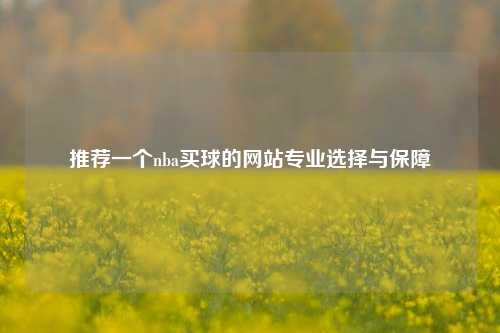 推荐一个nba买球的网站专业选择与保障