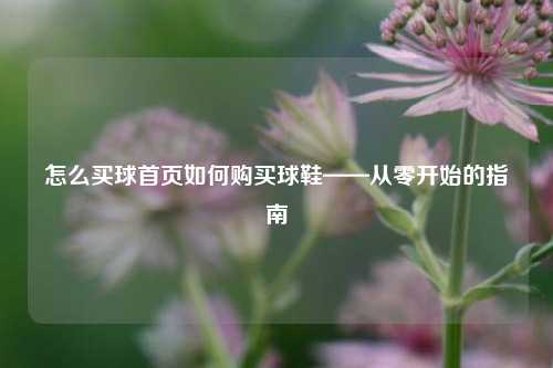 怎么买球首页如何购买球鞋——从零开始的指南