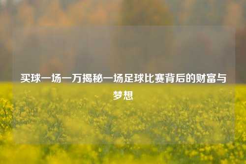 买球一场一万揭秘一场足球比赛背后的财富与梦想