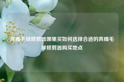 奔腾毛球修剪器哪里买如何选择合适的奔腾毛球修剪器购买地点