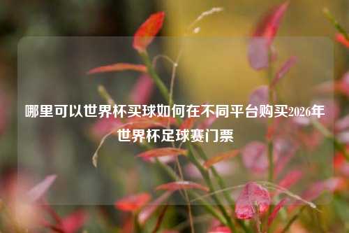 哪里可以世界杯买球如何在不同平台购买2026年世界杯足球赛门票