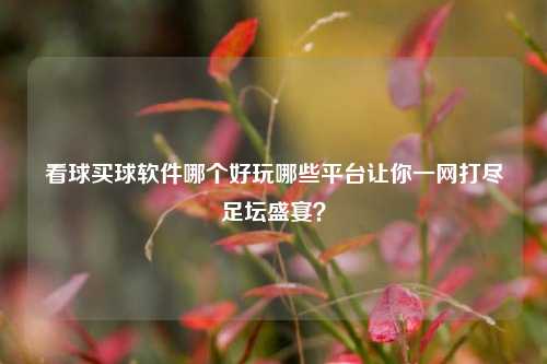 看球买球软件哪个好玩哪些平台让你一网打尽足坛盛宴？