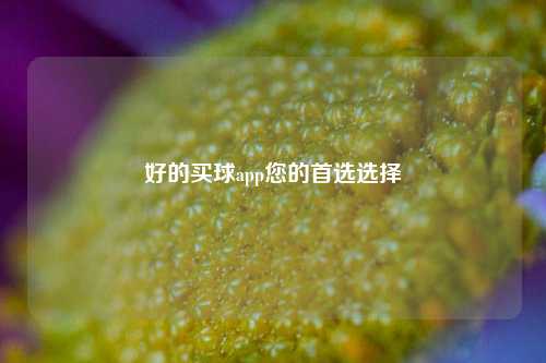 好的买球app您的首选选择