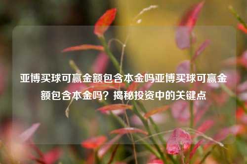 亚博买球可赢金额包含本金吗亚博买球可赢金额包含本金吗？揭秘投资中的关键点