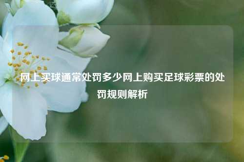 网上买球通常处罚多少网上购买足球彩票的处罚规则解析