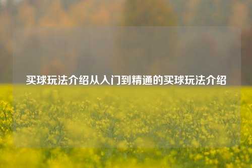 买球玩法介绍从入门到精通的买球玩法介绍