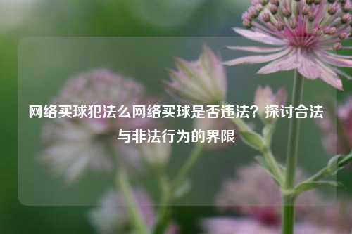 网络买球犯法么网络买球是否违法？探讨合法与非法行为的界限