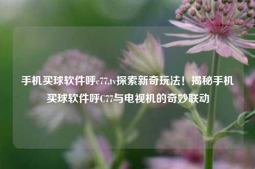 手机买球软件呼c77,tv探索新奇玩法！揭秘手机买球软件呼C77与电视机的奇妙联动