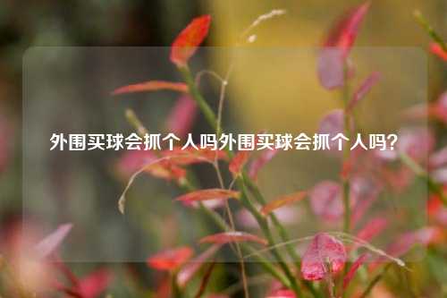 外围买球会抓个人吗外围买球会抓个人吗？