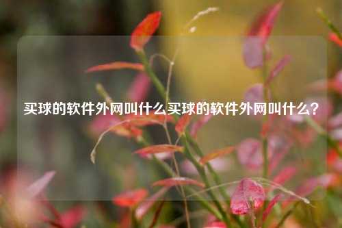 买球的软件外网叫什么买球的软件外网叫什么？