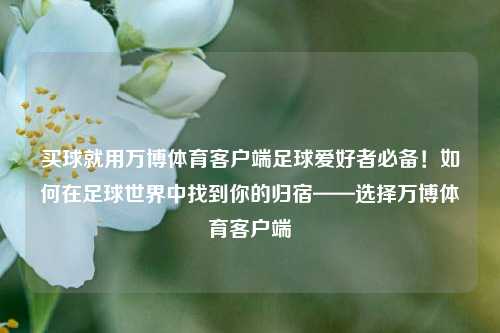 买球就用万博体育客户端足球爱好者必备！如何在足球世界中找到你的归宿——选择万博体育客户端
