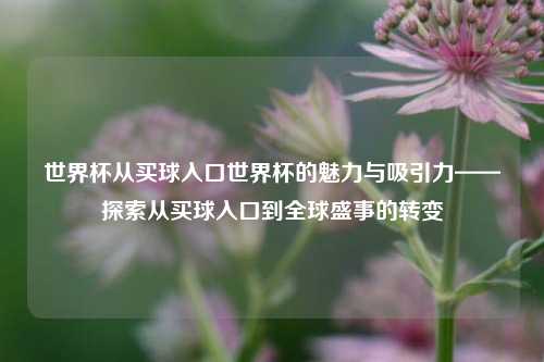 世界杯从买球入口世界杯的魅力与吸引力——探索从买球入口到全球盛事的转变