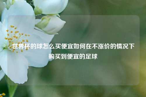世界杯的球怎么买便宜如何在不涨价的情况下购买到便宜的足球