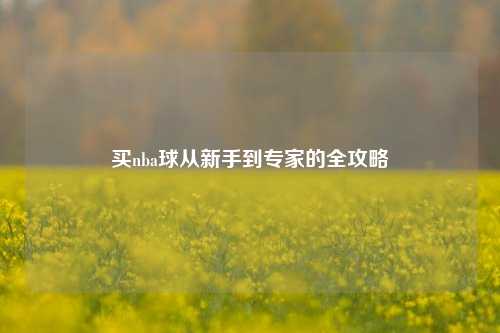 买nba球从新手到专家的全攻略
