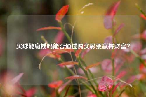 买球能赢钱吗能否通过购买彩票赢得财富？