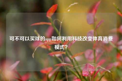 可不可以买球的app如何利用科技改变体育消费模式？