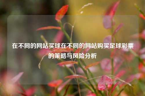 在不同的网站买球在不同的网站购买足球彩票的策略与风险分析