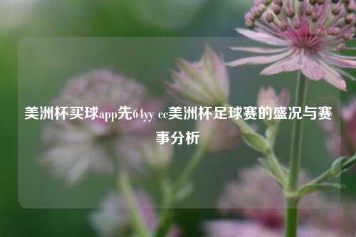 美洲杯买球app先64yy cc美洲杯足球赛的盛况与赛事分析