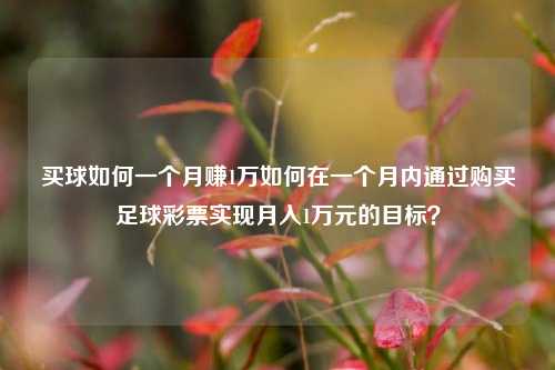 买球如何一个月赚1万如何在一个月内通过购买足球彩票实现月入1万元的目标？
