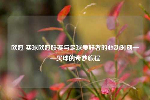 欧冠 买球欧冠联赛与足球爱好者的心动时刻——买球的奇妙旅程