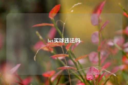 bet买球违法吗