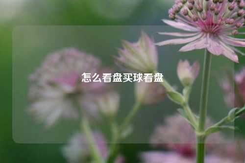 怎么看盘买球看盘