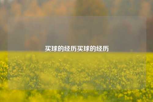 买球的经历买球的经历