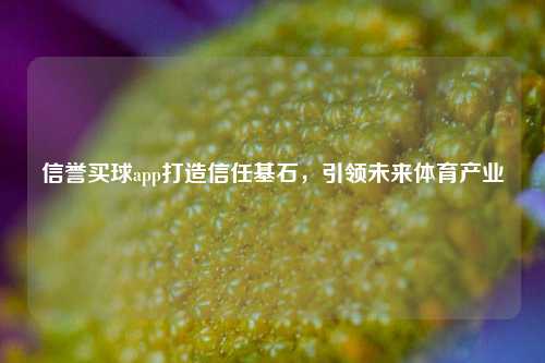 信誉买球app打造信任基石，引领未来体育产业