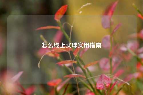 怎么线上买球实用指南