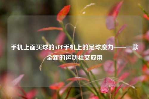 手机上面买球的APP手机上的足球魔力——一款全新的运动社交应用