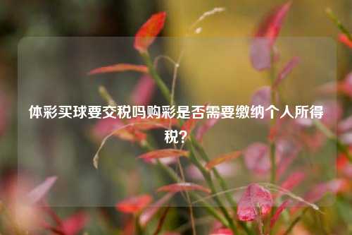 体彩买球要交税吗购彩是否需要缴纳个人所得税？