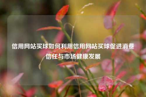 信用网站买球如何利用信用网站买球促进消费信任与市场健康发展
