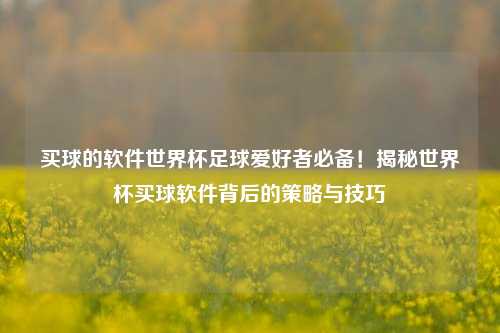 买球的软件世界杯足球爱好者必备！揭秘世界杯买球软件背后的策略与技巧