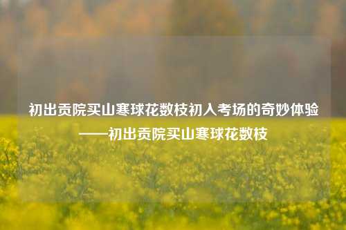 初出贡院买山寒球花数枝初入考场的奇妙体验——初出贡院买山寒球花数枝