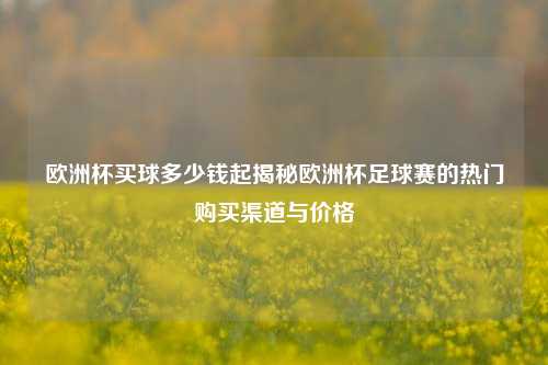 欧洲杯买球多少钱起揭秘欧洲杯足球赛的热门购买渠道与价格