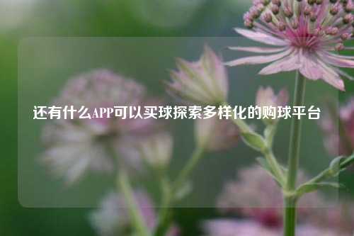 还有什么APP可以买球探索多样化的购球平台