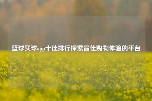 篮球买球app十佳排行探索最佳购物体验的平台