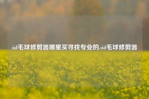 sid毛球修剪器哪里买寻找专业的.sid毛球修剪器