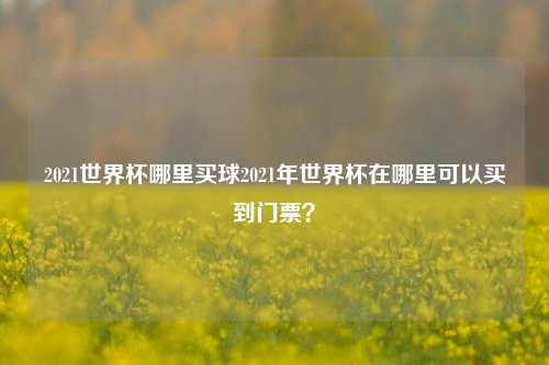 2021世界杯哪里买球2021年世界杯在哪里可以买到门票？