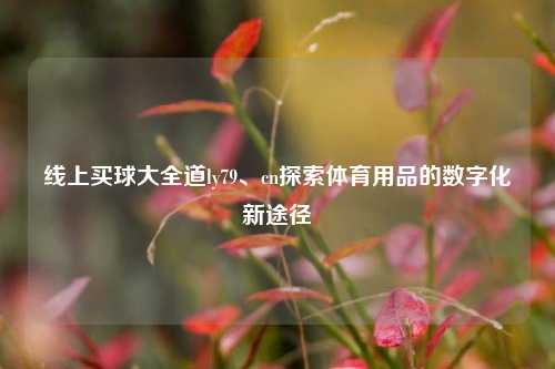 线上买球大全道ly79、cn探索体育用品的数字化新途径