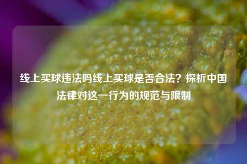 线上买球违法吗线上买球是否合法？探析中国法律对这一行为的规范与限制