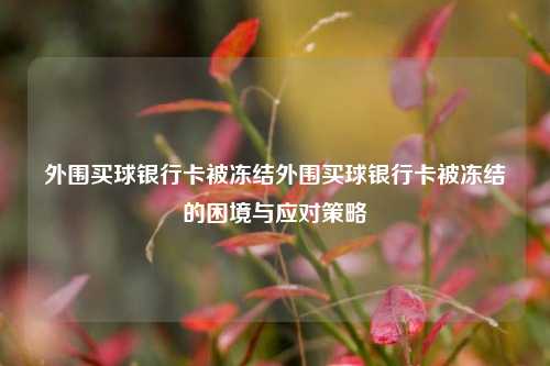外围买球银行卡被冻结外围买球银行卡被冻结的困境与应对策略