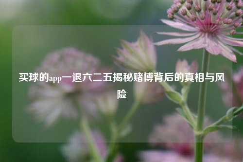 买球的app一退六二五揭秘赌博背后的真相与风险