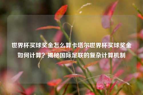 世界杯买球奖金怎么算卡塔尔世界杯买球奖金如何计算？揭秘国际足联的复杂计算机制