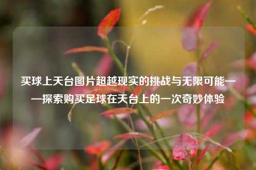 买球上天台图片超越现实的挑战与无限可能——探索购买足球在天台上的一次奇妙体验