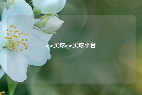 ope买球ope买球平台