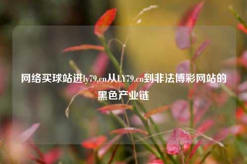 网络买球站进ly79,cn从LY79.cn到非法博彩网站的黑色产业链